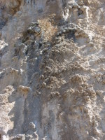 SNV80461.JPG